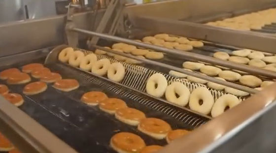Αγορά Υψηλή doughnut αυτοματοποίησης γραμμή παραγωγής με το μορφωματικό καλύπτοντας με σεντόνι σύστημα ζύμης διαδικτυακή κατασκευή